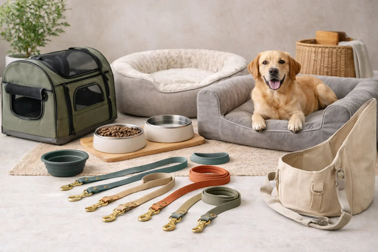 Dog Beds, Bowls & Essentials