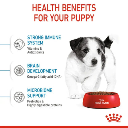 Royal Canin Mini Puppy Dry Dog Food, 2-10 Months, for Small Breed Puppies (Up to 10kg Adult Weight)