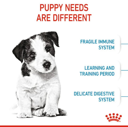 Royal Canin Mini Puppy Dry Dog Food, 2-10 Months, for Small Breed Puppies (Up to 10kg Adult Weight)