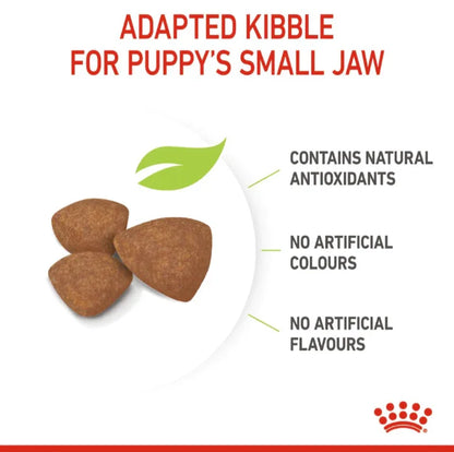 Royal Canin Mini Puppy Dry Dog Food, 2-10 Months, for Small Breed Puppies (Up to 10kg Adult Weight)