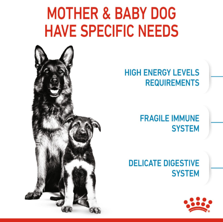 Graphic highlighting the specific needs of mother and baby dogs, including high energy, immune support, and digestive care.