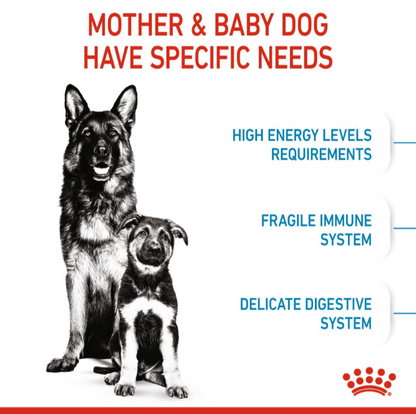 Graphic highlighting the specific needs of mother and baby dogs, including high energy, immune support, and digestive care.
