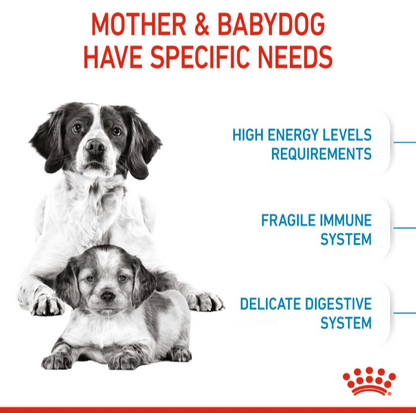 List of specific needs for mothers and puppies including high energy, fragile immune system, and delicate digestion.