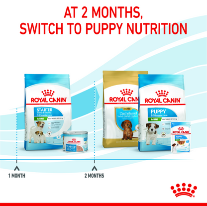Feeding transition chart showing the switch from Royal Canin Mini Starter to Mini Puppy nutrition at 2 months.