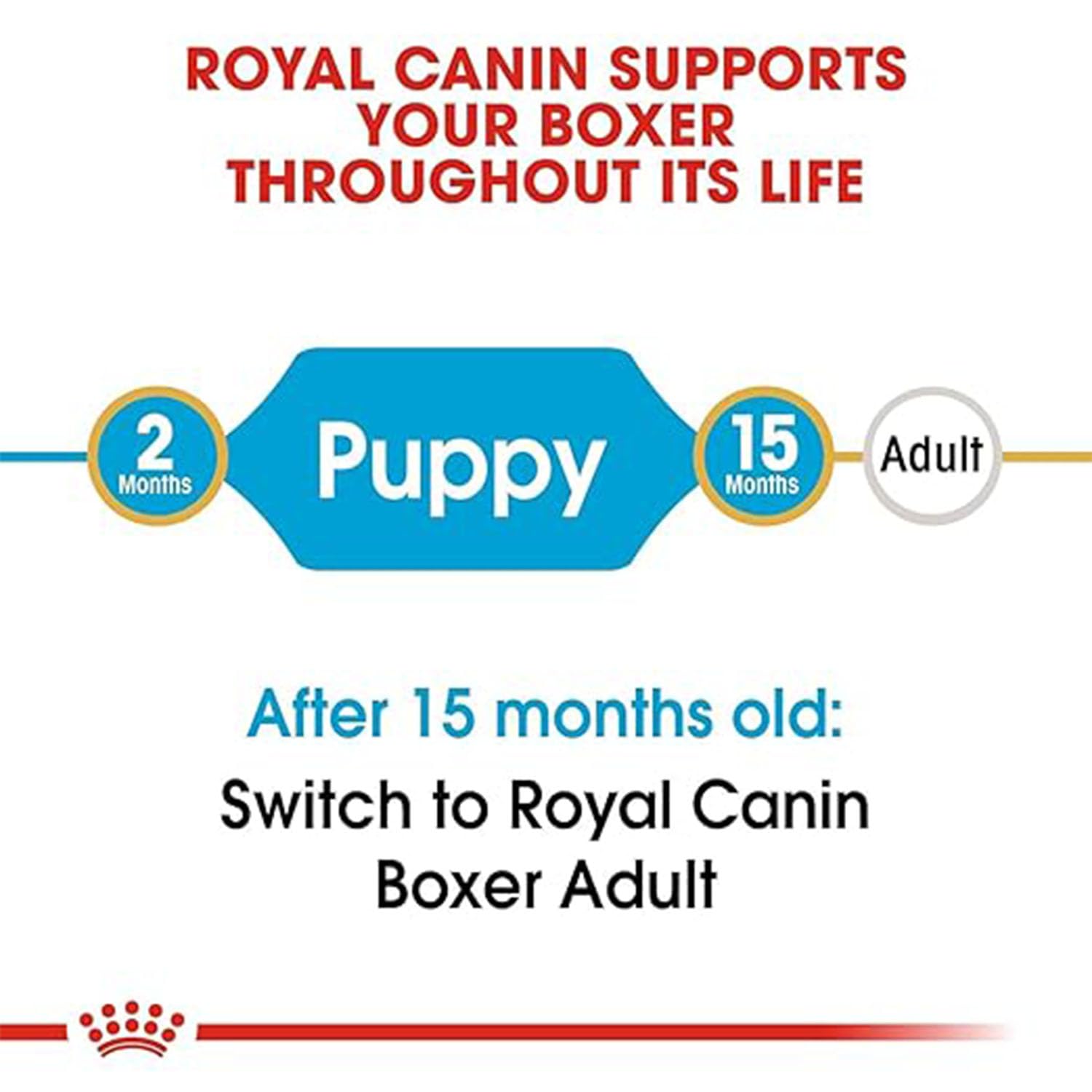 Growth chart showing the transition from Boxer Puppy food to Adult food at 15 months.
