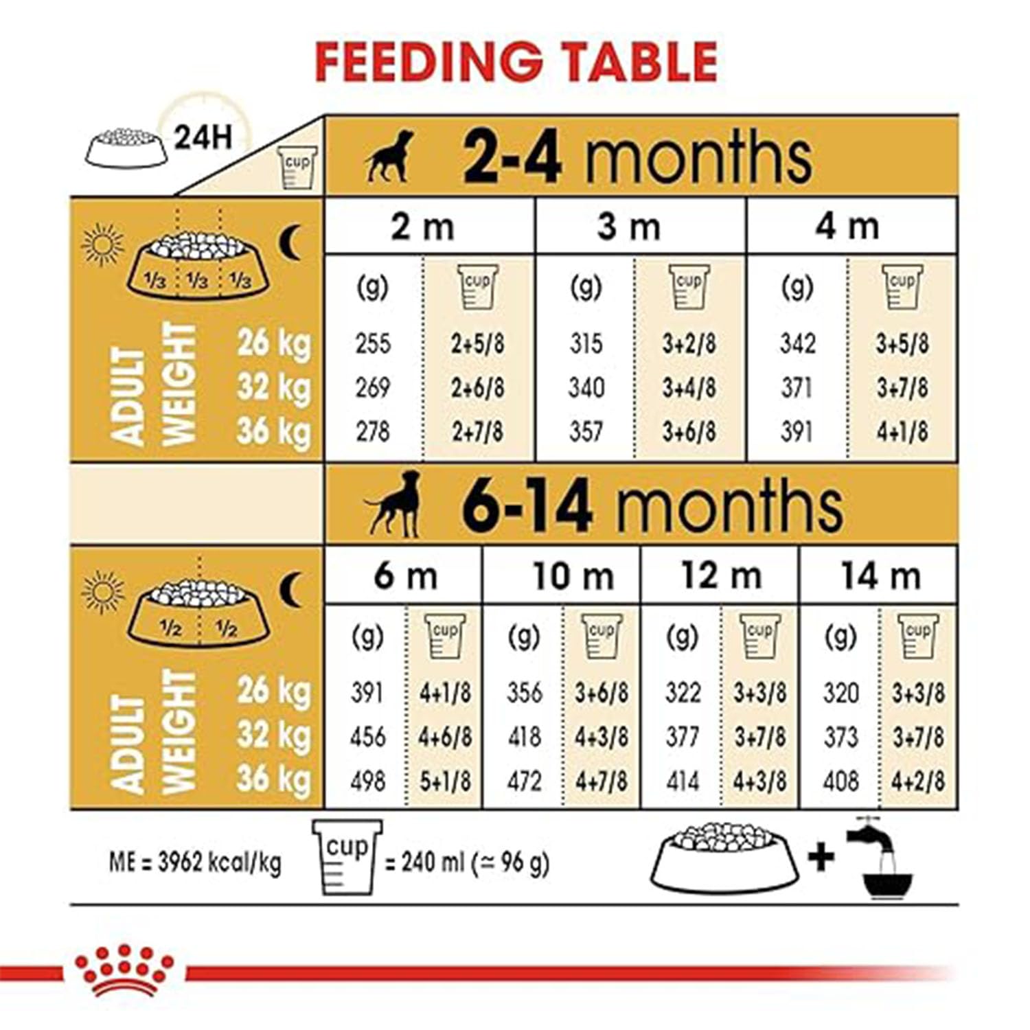 Daily feeding table showing recommended grams and cups based on puppy age and target adult weight.