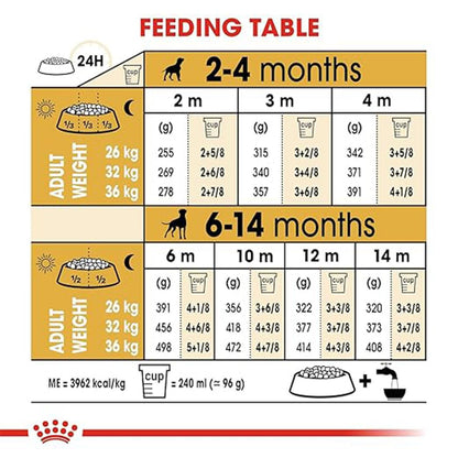 Daily feeding table showing recommended grams and cups based on puppy age and target adult weight.