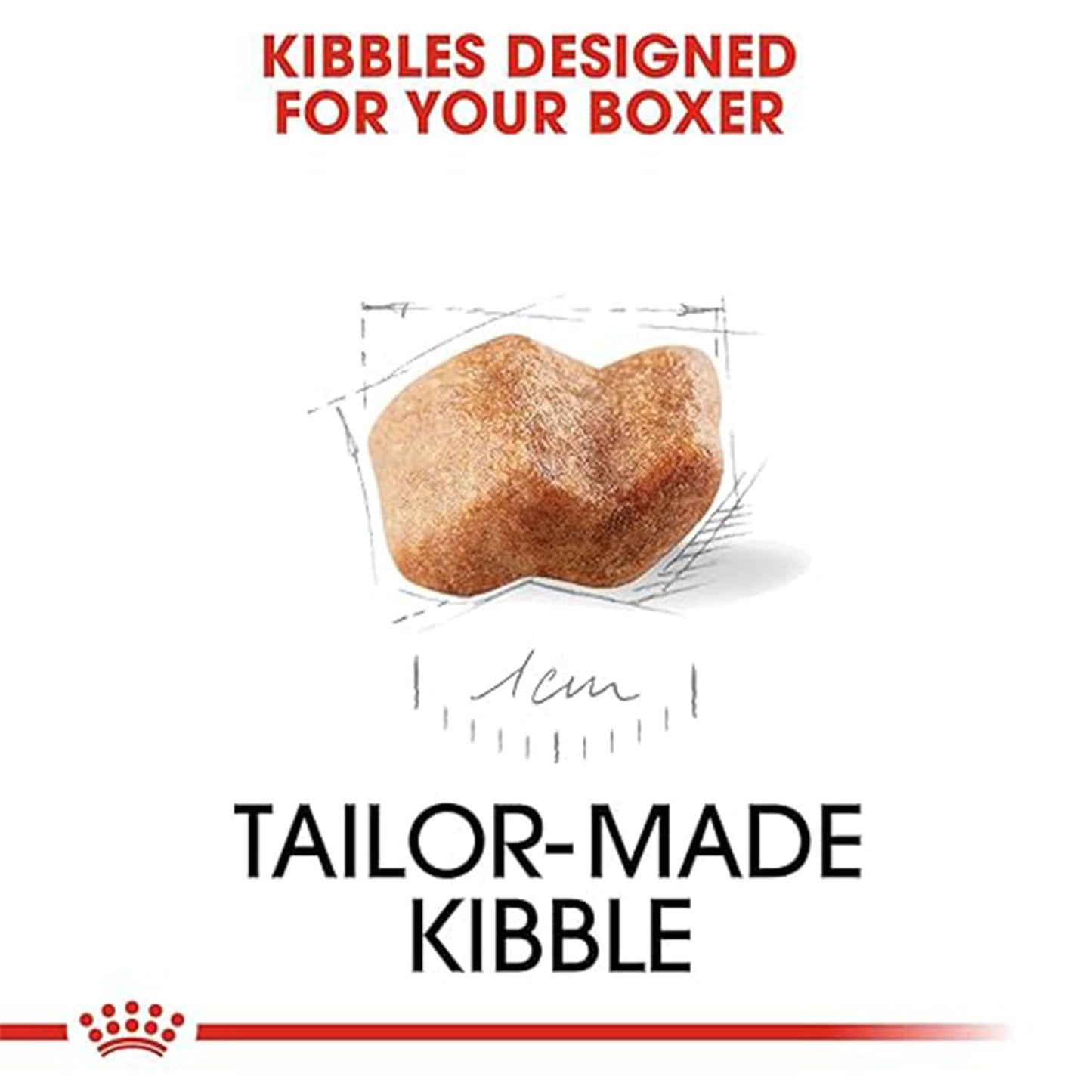 Close-up diagram of the tailor-made kibble designed for a Boxer puppy's unique jaw.
