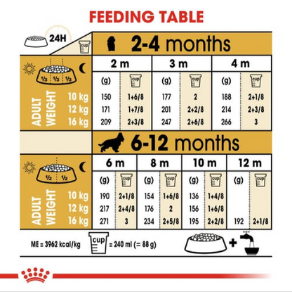 A detailed feeding table for Cocker Spaniel puppies showing daily portions in grams and cups based on age (2-12 months) and expected adult weight.