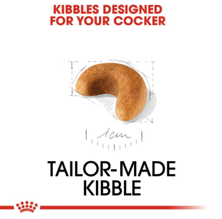 A technical drawing and close-up of a crescent-shaped kibble designed specifically for the jaw of a Cocker Spaniel puppy.