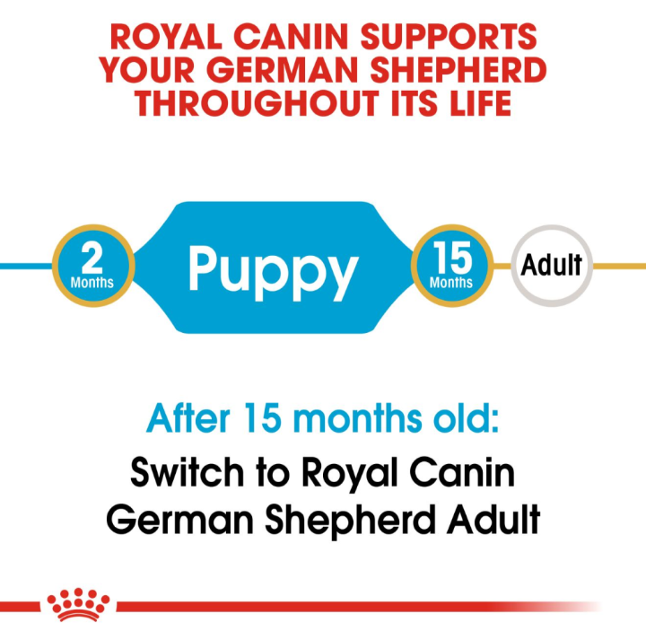 Infographic showing the transition from Royal Canin German Shepherd Puppy food to Adult food at 15 months old.