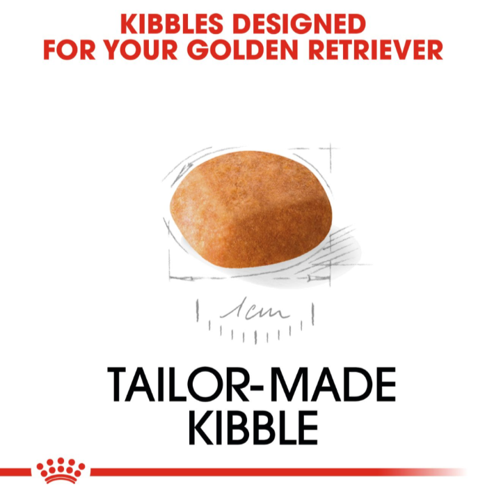 Close-up drawing of the tailor-made kibble shape designed specifically for Golden Retriever puppy jaws.