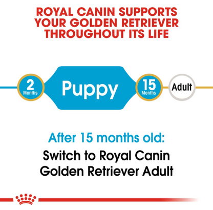 Transition recommendation diagram showing switch from Royal Canin Golden Retriever Puppy to Adult food at 15 months.