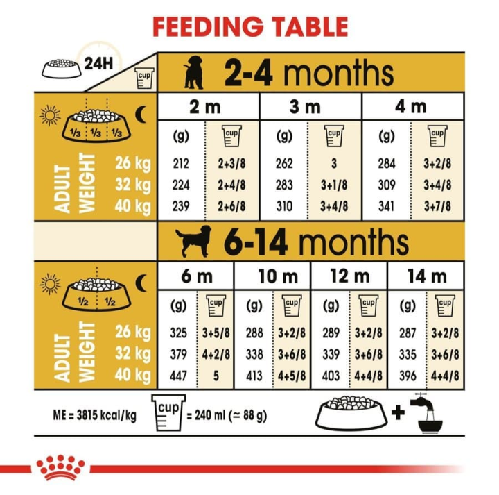 A detailed feeding table for Royal Canin Labrador Puppy food based on age (2-14 months) and expected adult weight.