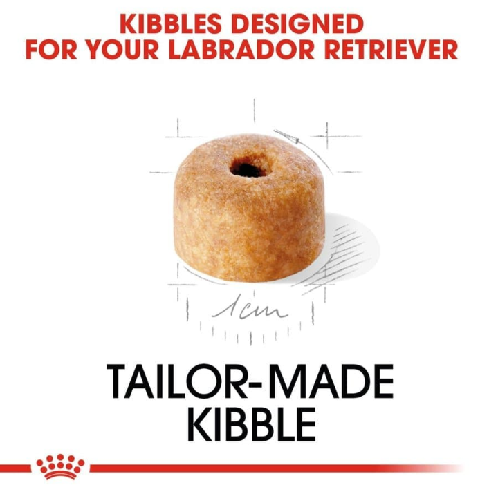 Close-up of a tailor-made doughnut-shaped kibble designed specifically for Labrador Retriever puppy jaws.