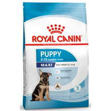 Front view of the Royal Canin Maxi Puppy dry dog food bag for puppies aged 2 to 15 months.