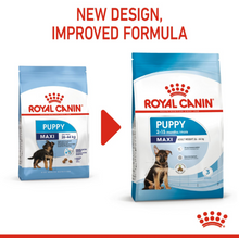 Comparison showing the old and new packaging design for Royal Canin Maxi Puppy dry dog food for large breed puppies.
