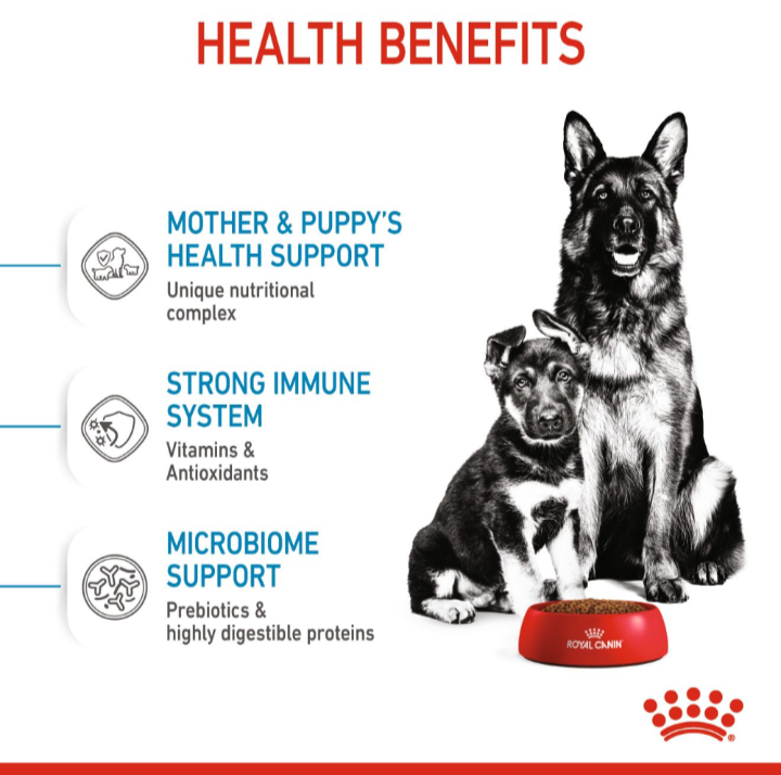 Breakdown of health benefits for Royal Canin Maxi Starter, focusing on immune system support and microbiome health.