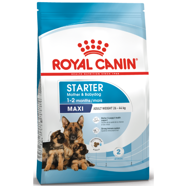 Front view of the Royal Canin Maxi Starter Mother and Babydog dry food bag for dogs with an adult weight of 26-44kg.