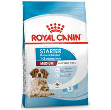 Front view of a Royal Canin Medium Starter bag for medium breed dogs with an adult weight of 11-25kg.