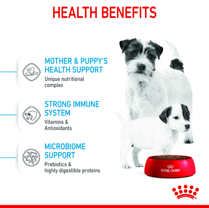 Health benefits of Royal Canin Mini Starter featuring prebiotics for microbiome support and antioxidants for immune health.