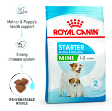 Key benefits of Royal Canin Mini Starter including health support, strong immune system, and rehydratable kibble.