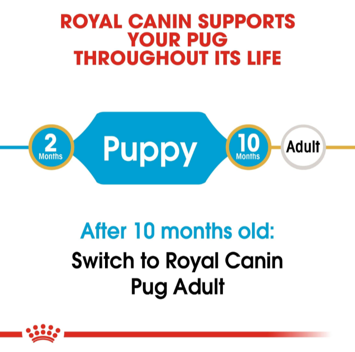 A timeline showing the transition from Royal Canin Pug Puppy at 2–10 months to Royal Canin Pug Adult after 10 months.