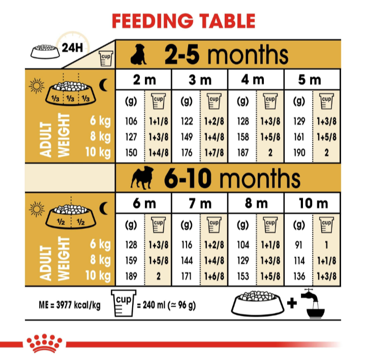 Detailed daily feeding guide for Pug puppies based on age (2-10 months) and expected adult weight (6kg to 10kg).