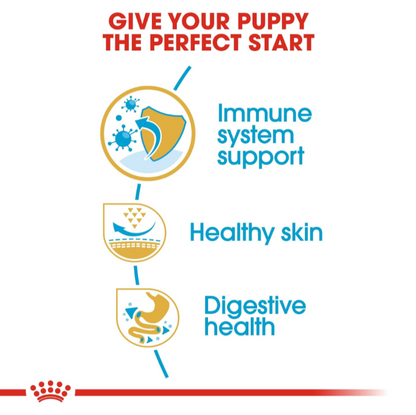 Icons showing Royal Canin Pug Puppy benefits: immune system support, healthy skin, and digestive health.