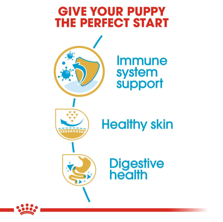 An infographic highlighting three key benefits of Royal Canin Puppy food: immune system support, healthy skin and coat, and digestive health.