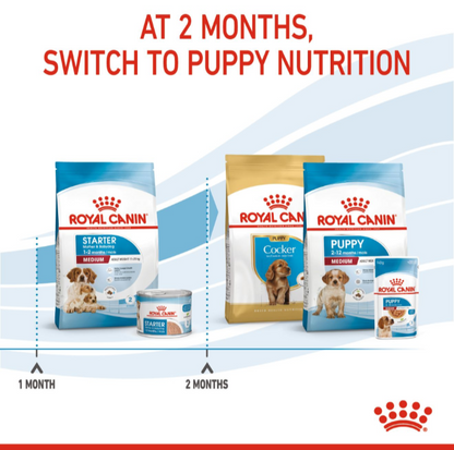 Growth timeline showing the transition from Royal Canin Starter to Medium Puppy or Breed Specific Puppy food at 2 months.