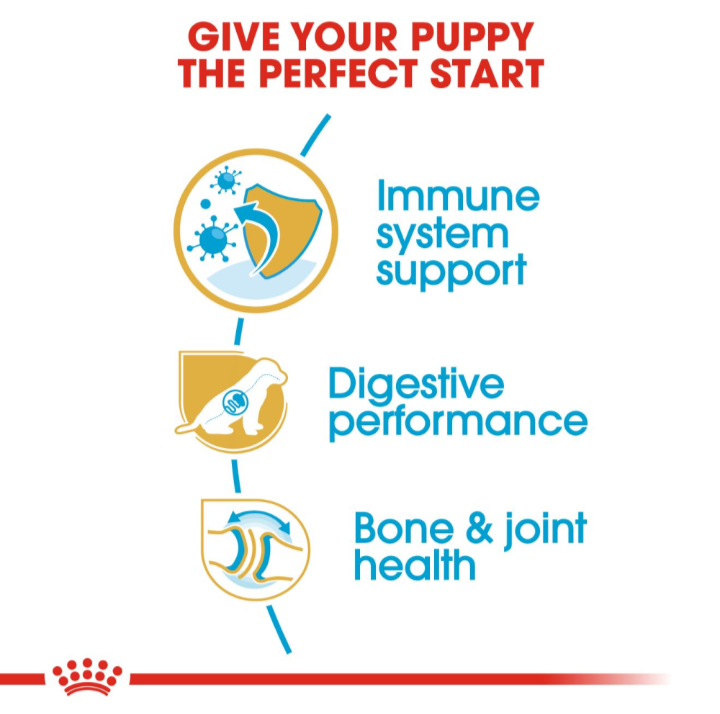Icons highlighting benefits: immune system support, digestive performance, and bone and joint health.