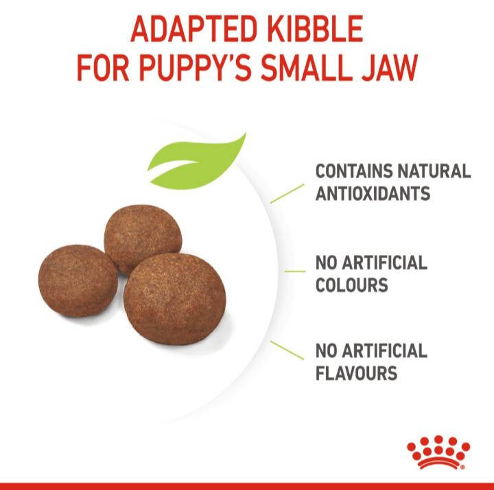 Close-up of Royal Canin puppy kibble showing the shape adapted for small jaws with no artificial colors or flavors.