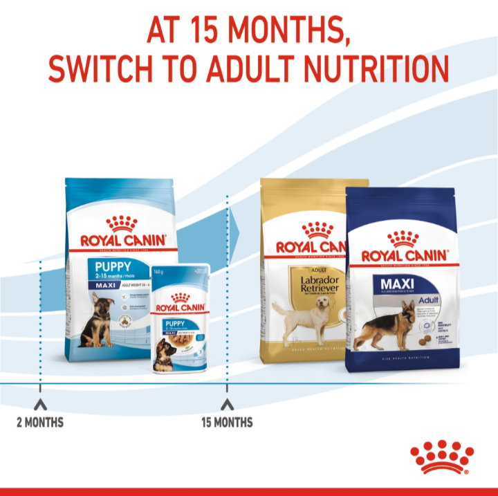 An infographic showing the transition from Royal Canin Maxi Puppy food to Adult Maxi or Breed Specific nutrition at 15 months.