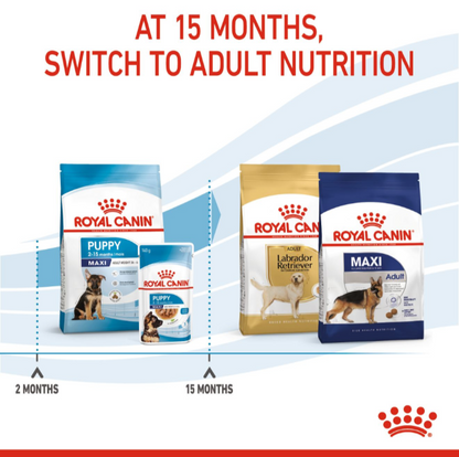 An infographic showing the transition from Royal Canin Maxi Puppy food to Adult Maxi or Breed Specific nutrition at 15 months.