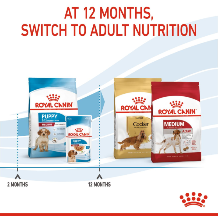 Infographic showing the transition from Royal Canin Medium Puppy food to Adult Medium or Breed Specific formulas at 12 months.