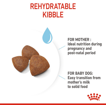 Close-up of Royal Canin rehydratable kibble showing how it softens with water for weaning puppies.