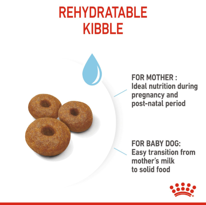Close-up of Royal Canin rehydratable kibble explaining benefits for the mother's lactation and the puppy's transition from milk.