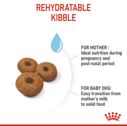 Close-up of Royal Canin rehydratable kibble explaining benefits for the mother's lactation and the puppy's transition from milk.
